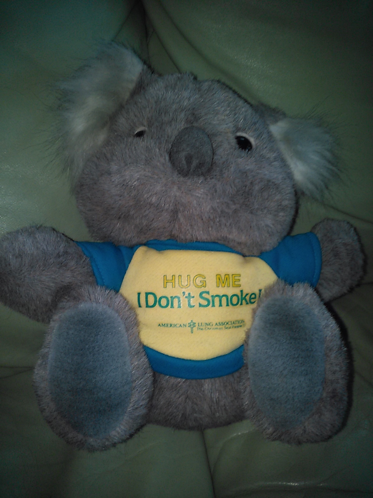 American Lung Association Christmas Seal Stuffed Toy, Kristy Koala